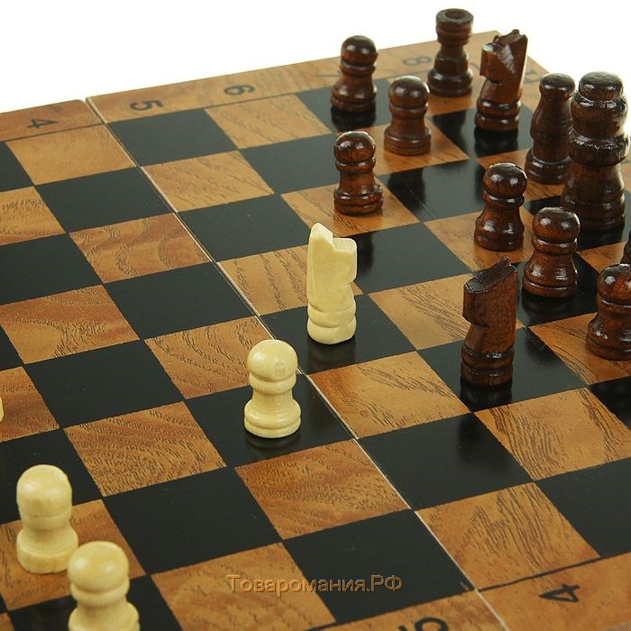 Настольная игра 3 в 1 "Цейтнот": шахматы, шашки, нарды, 24 х 24 см