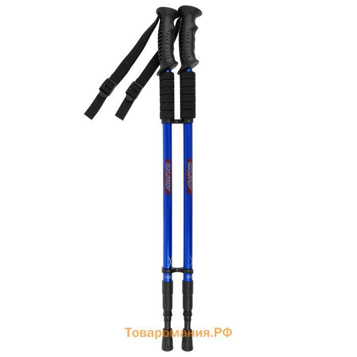 Палки для скандинавской ходьбы ONLITOP, телескопические, 3 секции, до 135 см, 2 шт., цвет МИКС