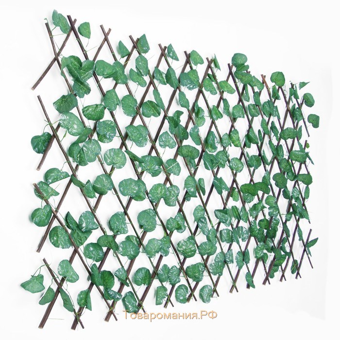 Ограждение декоративное, 200 × 75 см, «Лист ольхи», Greengo