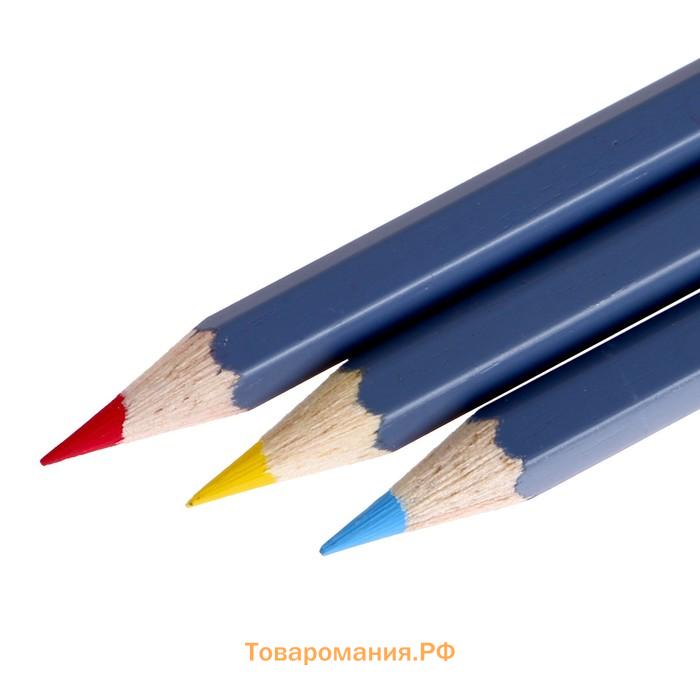 Карандаши акварельные набор 36 цветов, Faber-Castell Goldfaber Aqua, в металлическом пенале