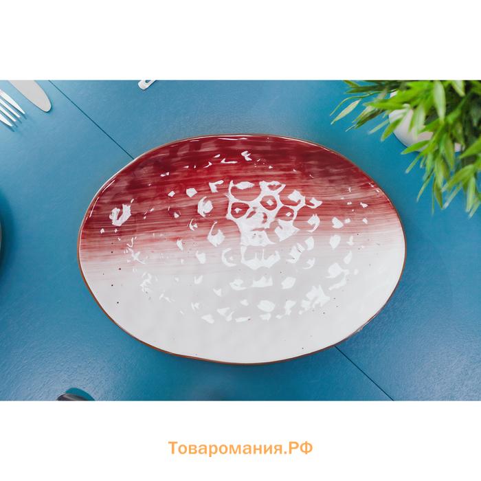 Блюдо  «Космос», 31.5×22 см, овальное, фарфор, белое, красное