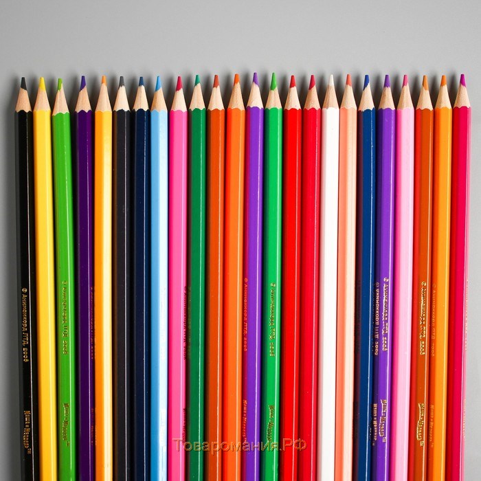 Цветные карандаши, 24 цвета, шестигранные, Маша и Медведь