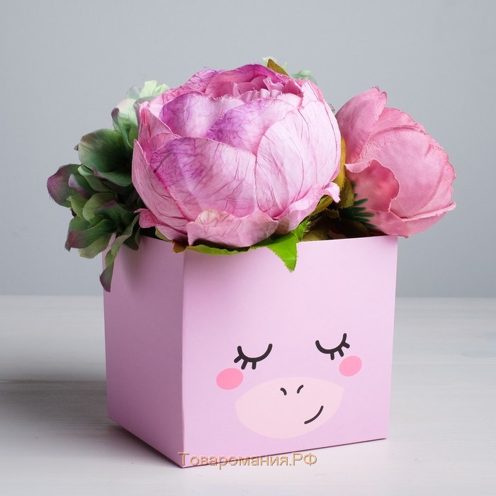 Коробка для цветов с топпером «Чудо», 11 х 12 х 10 см