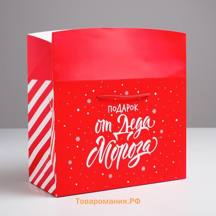 Пакет-коробка «Подарок», 28 х 20 х 13 см, Новый год