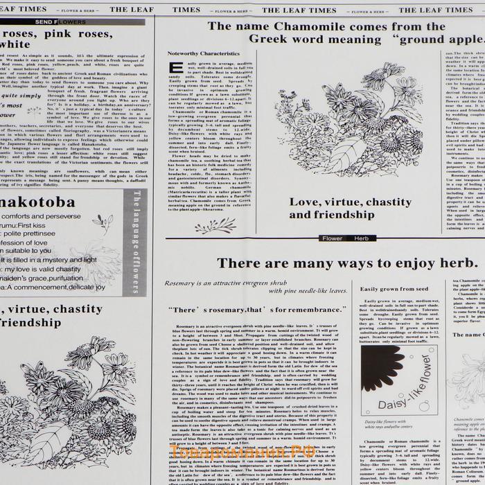Плёнка матовая "Флористическая статья" белый, 57x57см ±5% см