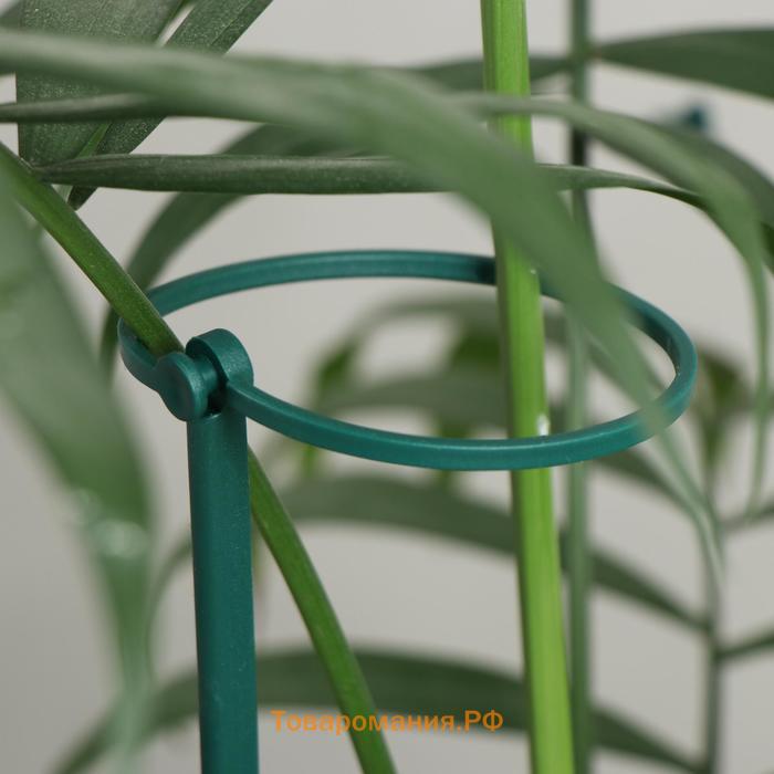 Поддержка для растений, h = 40,5 см, цвет МИКС, Greengo