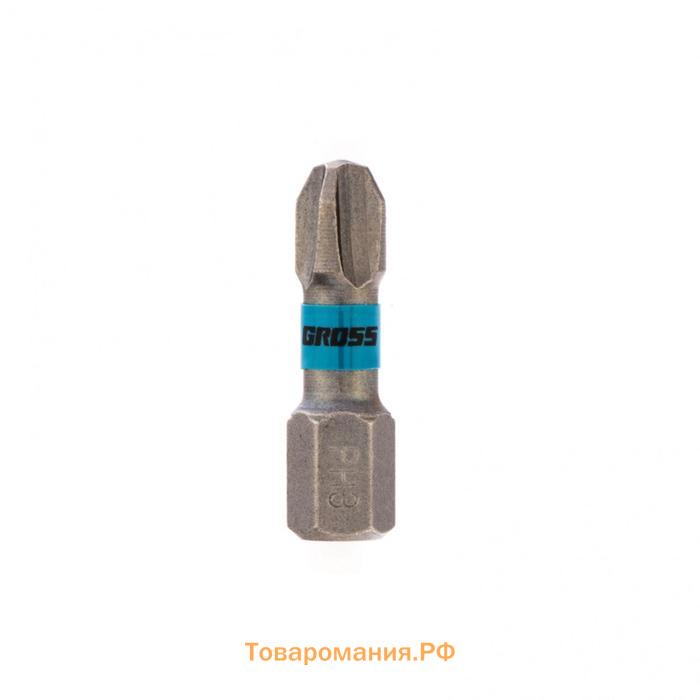 Набор бит торсионных Gross 11476, сталь S2, PH3 х 25 мм, 1/4", 2 шт.