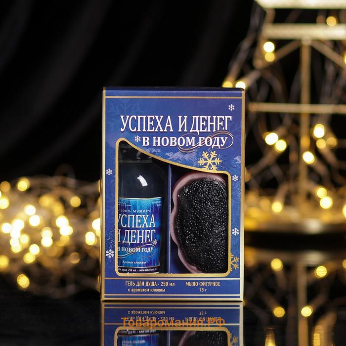 Новогодний подарочный набор косметики «Успеха и денег», гель для душа 250 мл и мыло для рук 70 г, Новый Год