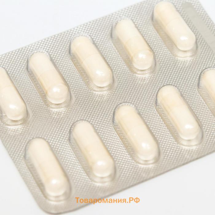 Комплекс пребиотика и пробиотиков Здравсити премиум, 10 капсул по 526 мг