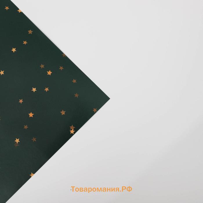 Бумага упаковочная глянцевая «Золотые звёздочки», 70 х 100 см, Новый год