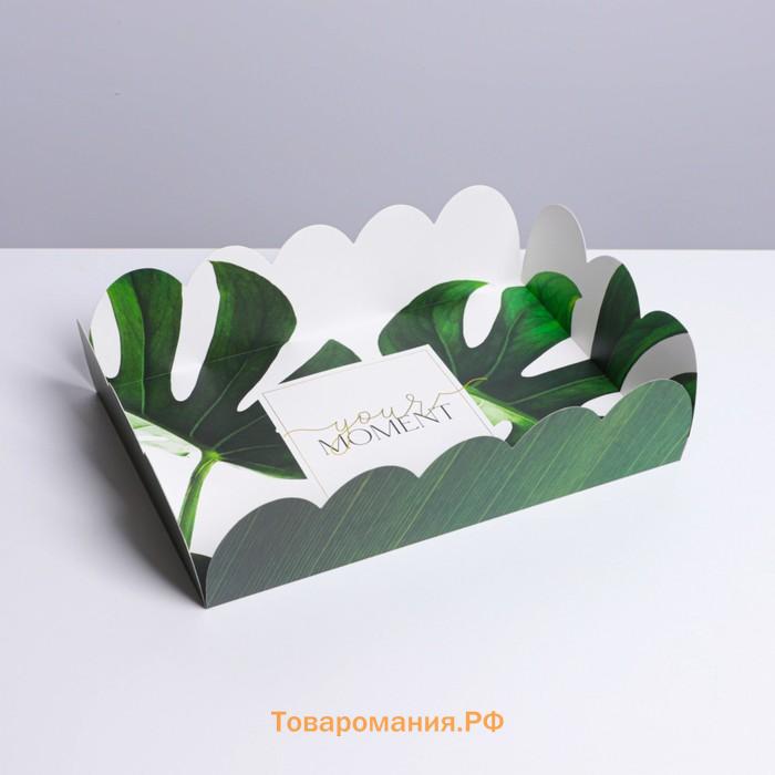 Коробка для печенья, кондитерская упаковка с PVC крышкой, «Эко», 20 х 30 х 8 см