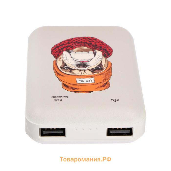 Внешний аккумулятор Ritmix RPB-10007, 10000 мАч, 2хUSB, 2.1 А, бульдог