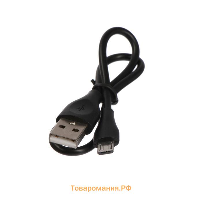 Внешний аккумулятор Ritmix RPB-10007, 10000 мАч, 2хUSB, 2.1 А, бульдог