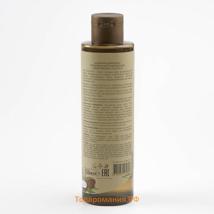 Шампунь для волос Ecolatier Green «Питание & Восстановление», 250 мл
