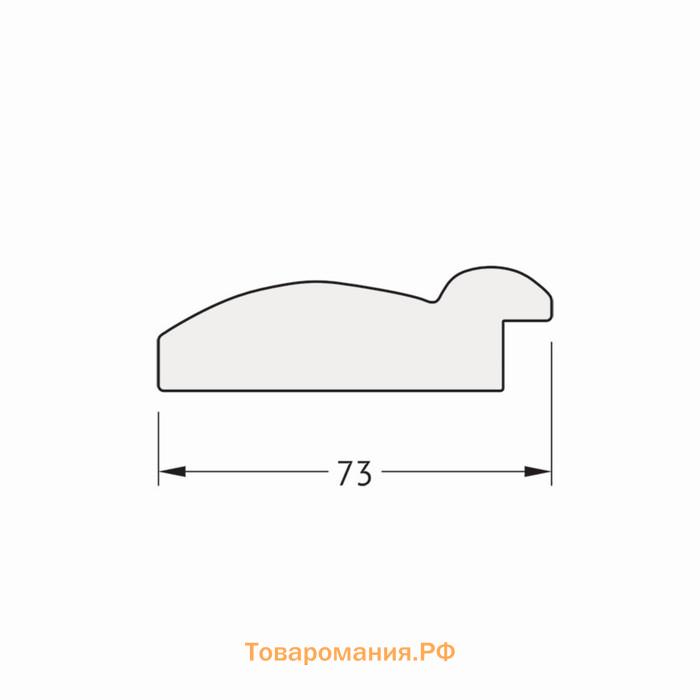 Зеркало с гравировкой в багетной раме, серебряный бамбук 73 мм, 63x86 см