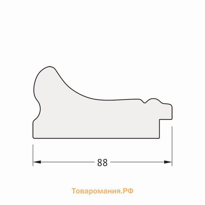 Зеркало с гравировкой в багетной раме, хамелеон 88 мм, 76x104 см