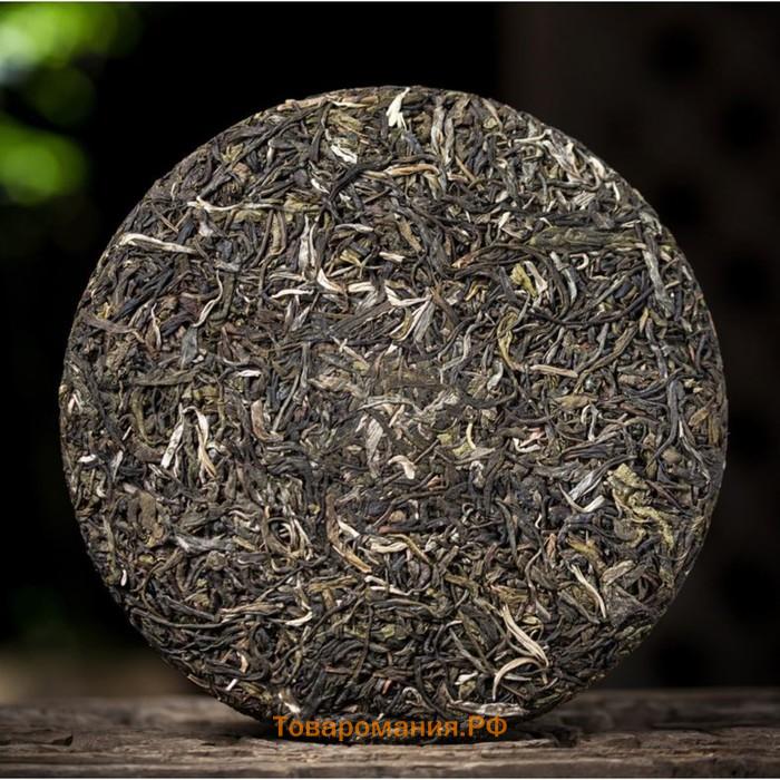 Китайский выдержанный зеленый чай "Шен Пуэр" 2017 год, Менхай,  блин, 357 г (+ - 5 г)