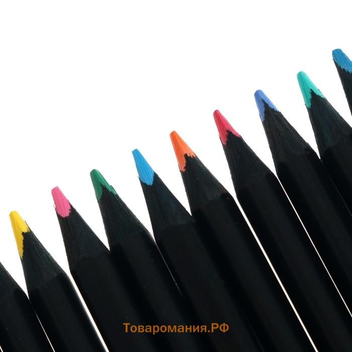 Карандаши цветные Faber-Castell Black Edition 24 цвета, cверхмягкий грифель, трехгранные, чёрное дерево, в картонной коробке, 116424