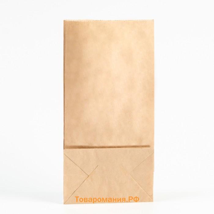 Пакет крафт бумажный, фасовочный, прямоугольное дно, 12 х 8 х 24 см, 50 г/м2