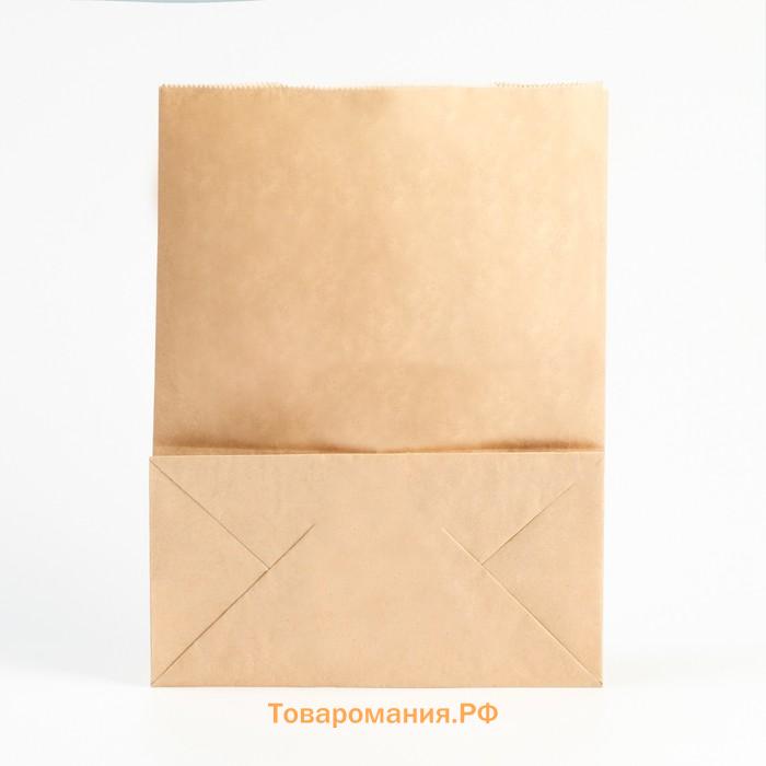 Пакет крафт бумажный, фасовочный, прямоугольное дно, 22 х 12 х 29 см, 50 г/м2