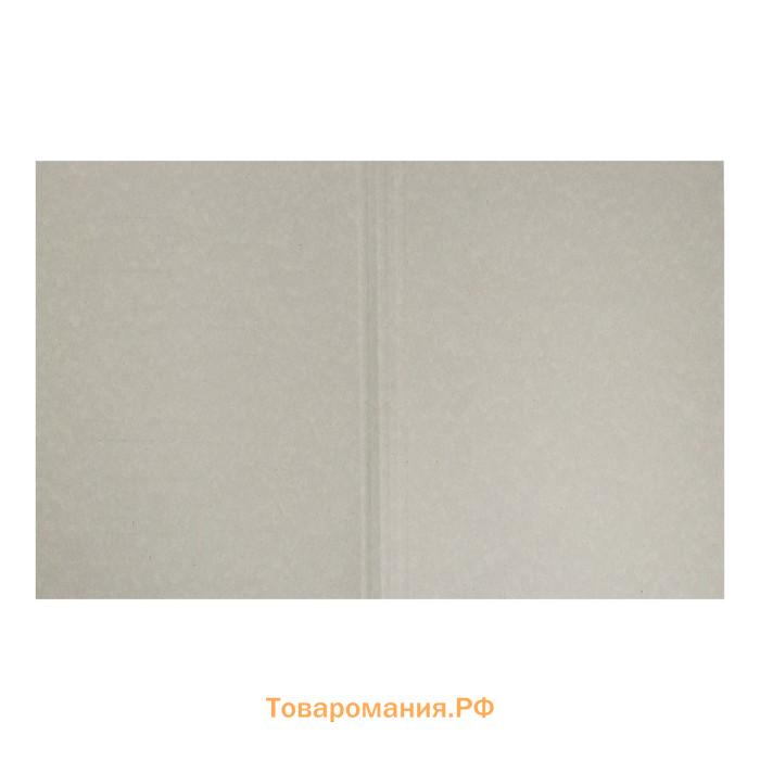 Папка-обложка Calligrata "Дело", 440г/м2, на 200л, белая, немелованная