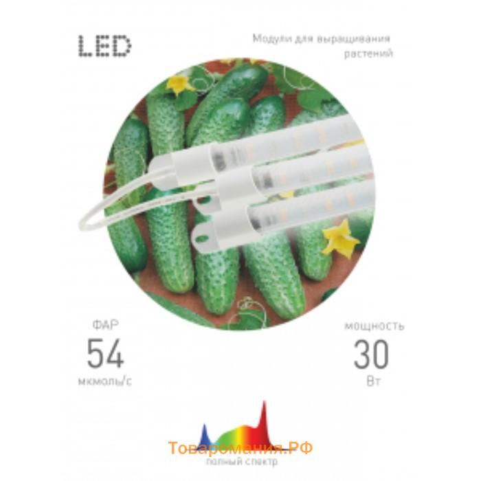 Фитосветильник светодиодный, 30 Вт, 530 мм, IP65, полный спектр, бело-красный, FITO-3х10W-LINE-Ra90, «ЭРА»
