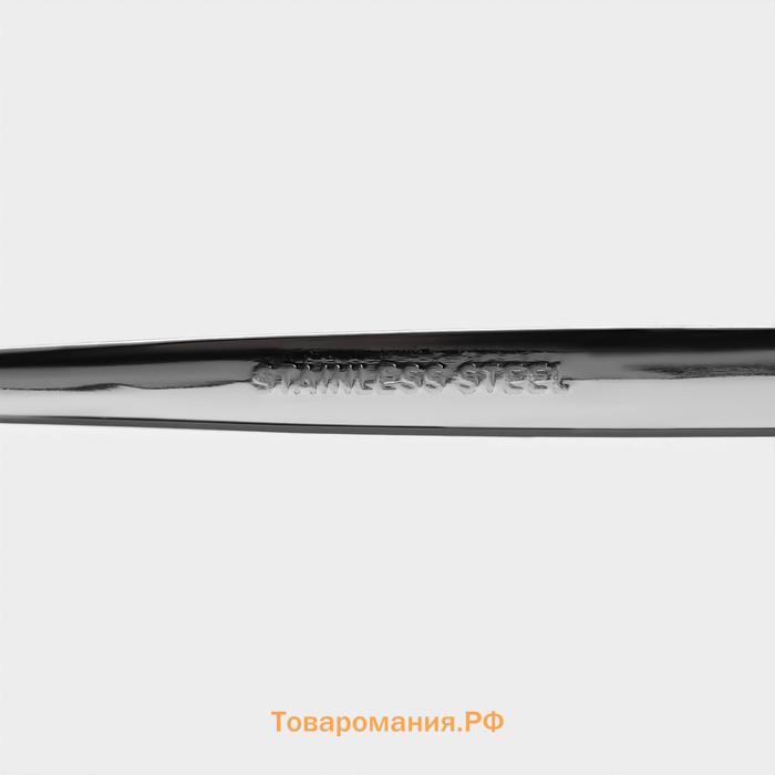 Набор столовых ложек Magistro «Блинк», длина 22 см, 6 шт., нержавеющая сталь, серебристый