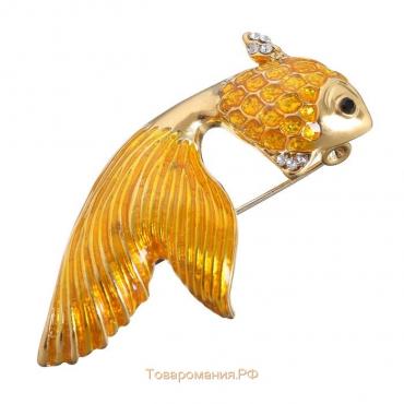 Брошь «Рыбка золотая», цвет оранжевый в золоте