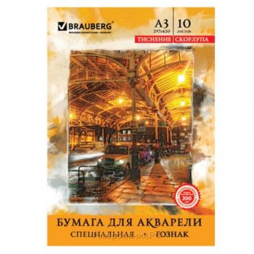 Папка для акварели А3, 297 х 420 мм, 10 листов, блок бумага ГОЗНАК "Скорлупа", 200 г/м2