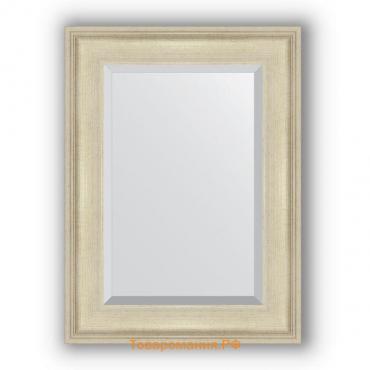 Зеркало с фацетом в багетной раме - травленое серебро 95 мм, 58 х 78 см, Evoform