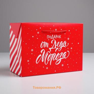 Пакет-коробка «Подарок», 28 х 20 х 13 см, Новый год