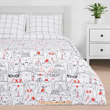 Новый год. Постельное белье  Дуэт Xmas cat 143*215 см - 2 шт, 240*220 см, 70*70 см - 2 шт