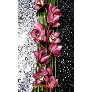 Фотообои флизелиновые 3D Flizetto "Дикая Орхидея" 200х270