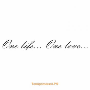 Наклейка "One life...One love...", черная, плоттер, 700 х 100 х 1 мм