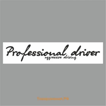 Полоса на лобовое стекло "Professional driverf", белая, 1220 х 270 мм