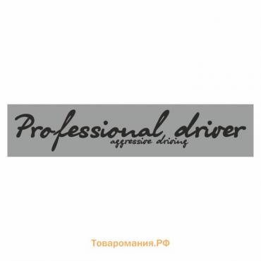 Полоса на лобовое стекло "Professional driverf", серебро, 1220 х 270 мм