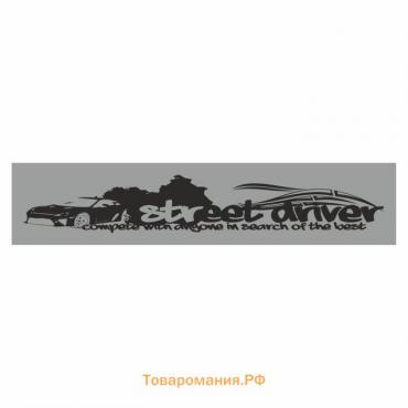 Полоса на лобовое стекло "Street driver", серебро, 1220 х 270 мм