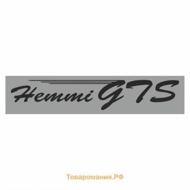 Полоса на лобовое стекло "Hemmi GTS", серебро, 1300 х 170 мм