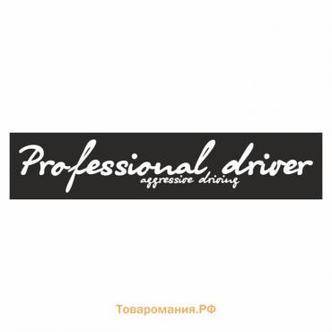 Полоса на лобовое стекло "Professional driverf", черная, 1300 х 170 мм