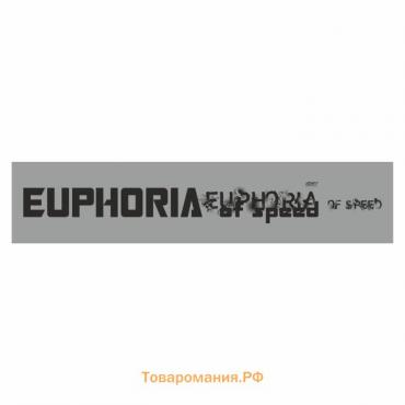 Полоса на лобовое стекло "EUPHORIA", серебро, 1600 х 170 мм