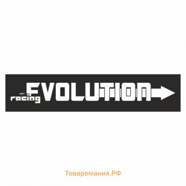 Полоса на лобовое стекло "EVOLUTION", черная, 1600 х 170 мм